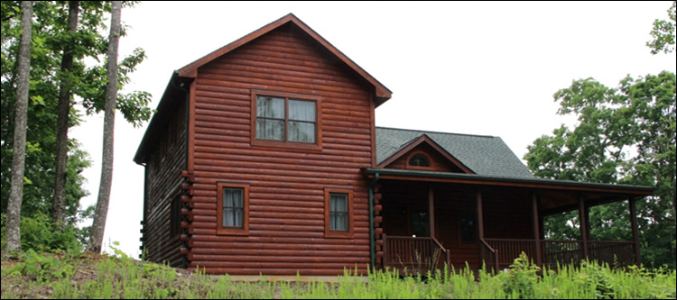 Professional Log Home Borate Application  Roanoke Rapids,  North Carolina